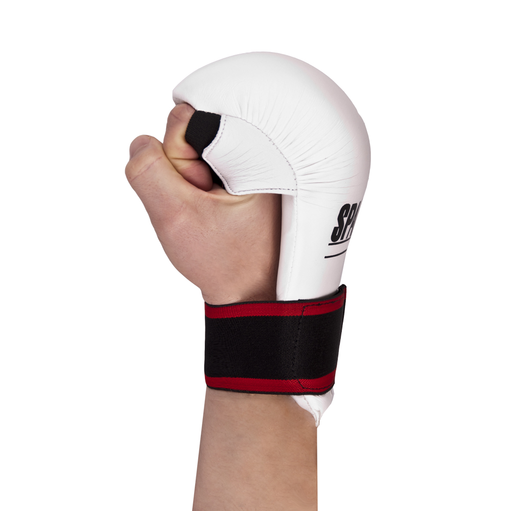 Spartan karate Boxing Gloves inSPORTline.eu