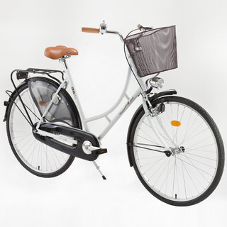dhs travel bike