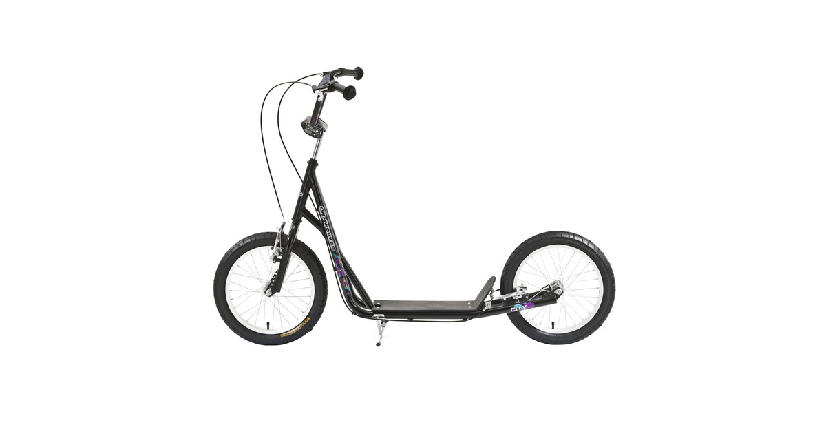 Scooter WORKER City - inSPORTline