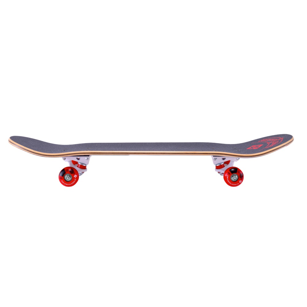 skateboard street surfing street