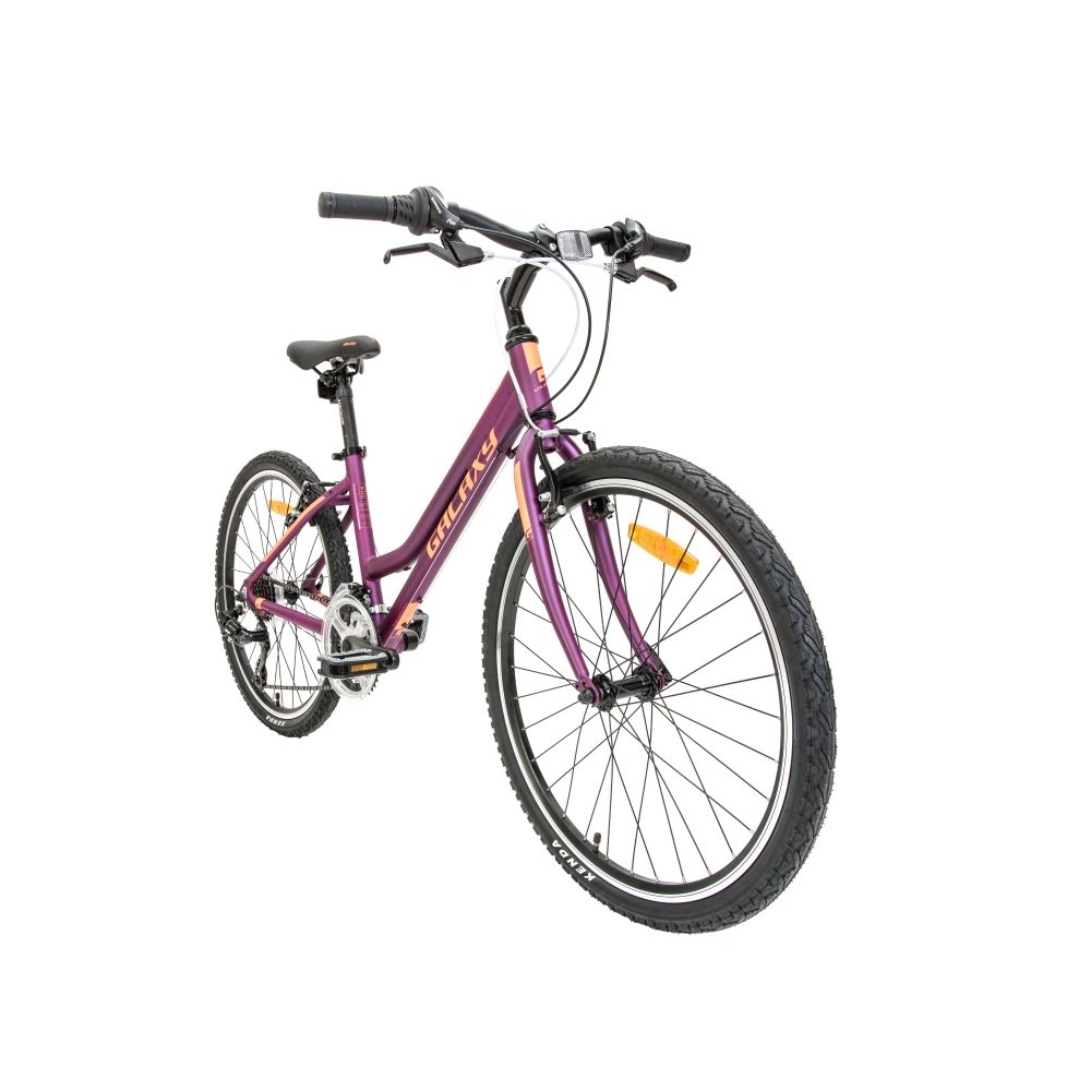 junior girls bike