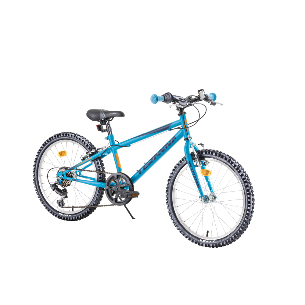 Children’s Bike DHS Teranna 2021 20” 4.0 inSPORTline