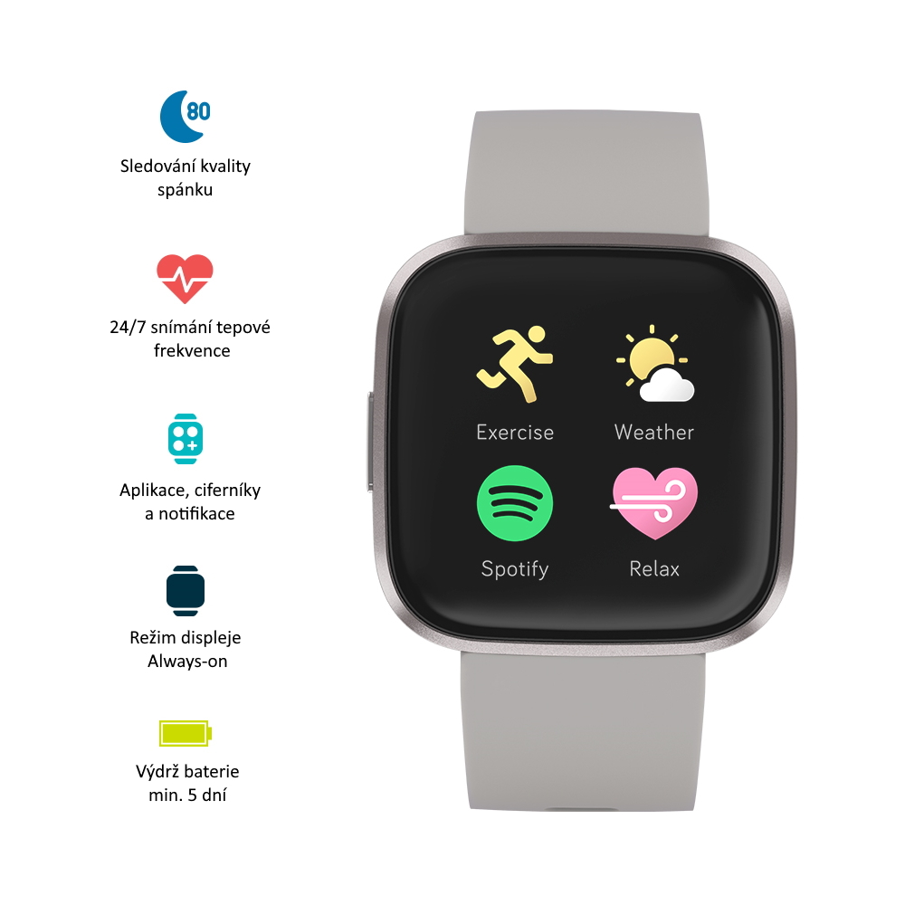 fitbit grey versa
