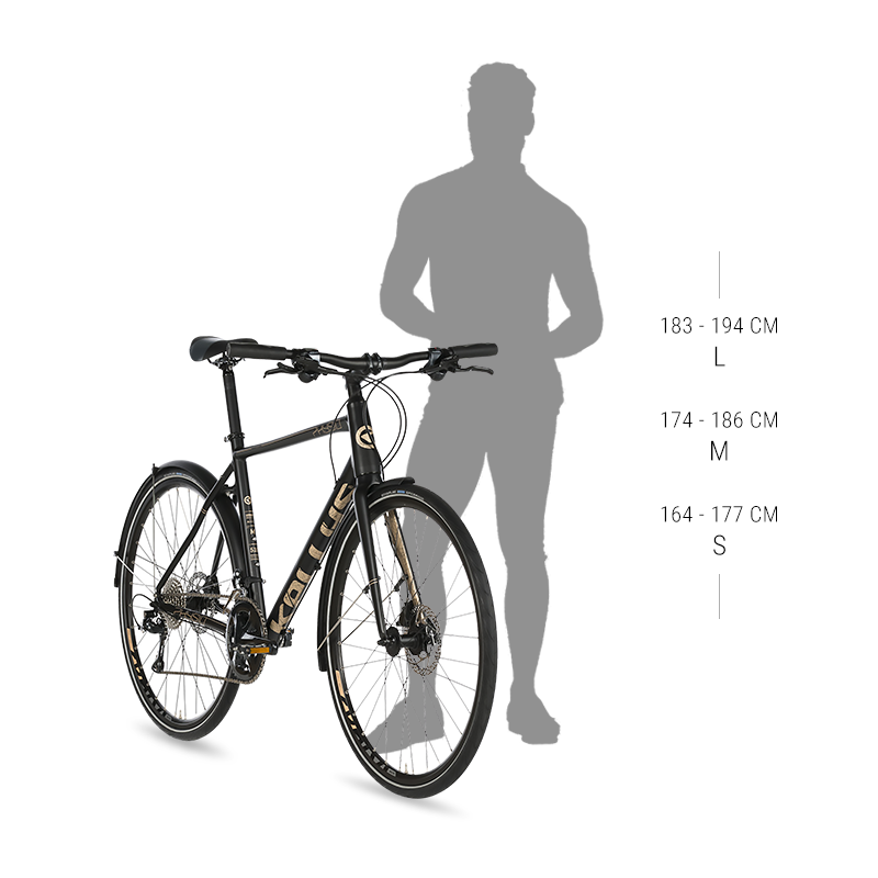 physio bike
