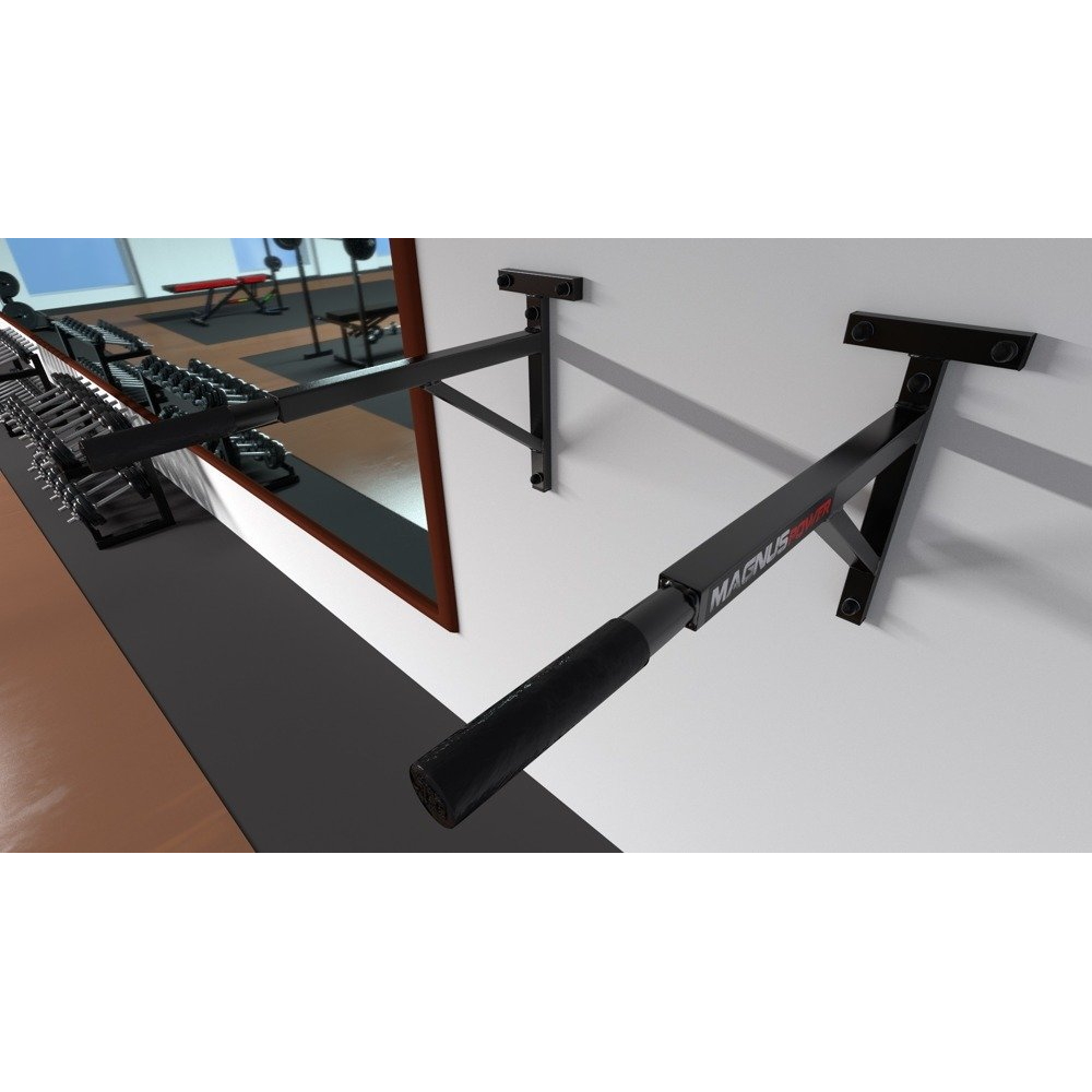 WallMounted Fitness Parallel Bars MAGNUS POWER MP1011 inSPORTline