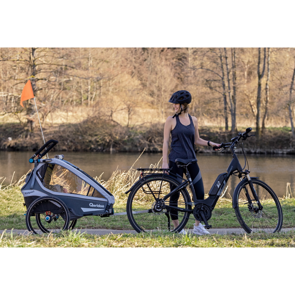 Multifunctional Bicycle Trailer Qeridoo KidGoo 2 Sport inSPORTline