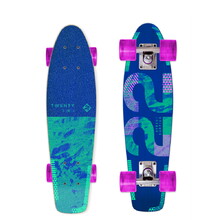 Penny Board Street Surfing Beach Board Wood Twenty-Two 22.5”