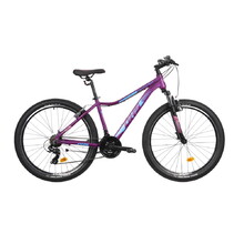 Women’s Mountain Bike DHS Terrana 2722 27.5” 6.0 - Violet