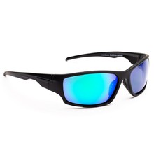 Polarized Sunglasses Bliz C 51915-13
