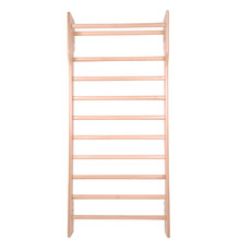 Wall Bars inSPORTline Dremar 220 x 90 cm
