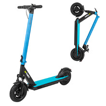 E-Scooter W-TEC Dalehunter 10”