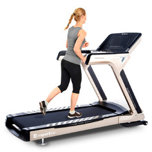 Treadmill inSPORTline Gardian G12