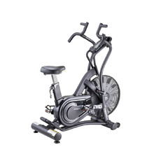 AirBike inSPORTline Pro
