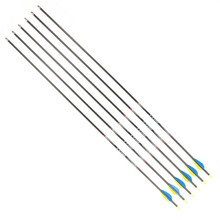 Carbon Arrows Disport Mixx 32/1200 6 Pcs.