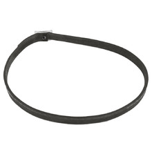 Flea and Tick Dog Collar Trixline TR 262 50cm - Black