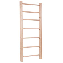 Wall Bars inSPORTline Steadyline 215 x 90 cm