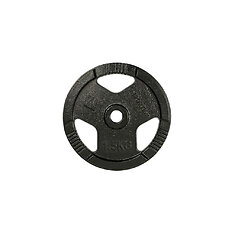 Cast Iron Weight Plate inSPORTline Hamerton Black 1.25 kg, 30 mm