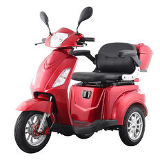 Three-Wheel Electric Scooter inSPORTline Zorica