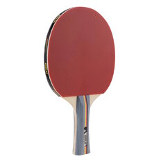 Table Tennis Paddle Joola Team School