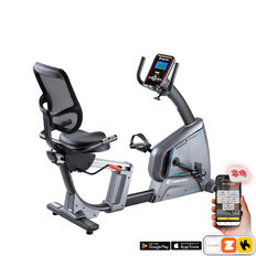Recumbent inSPORTline Omahan RMB