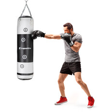 Punching Bag inSPORTline Robkin 120 x 35 cm