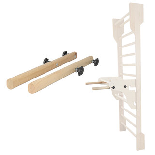 Parallel Bars for Wall Bars