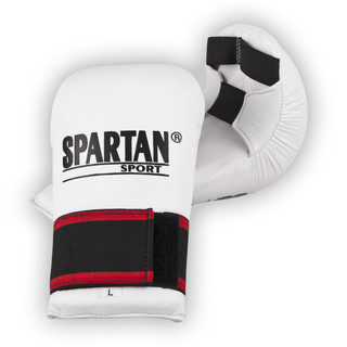 Spartan karate Boxing Gloves