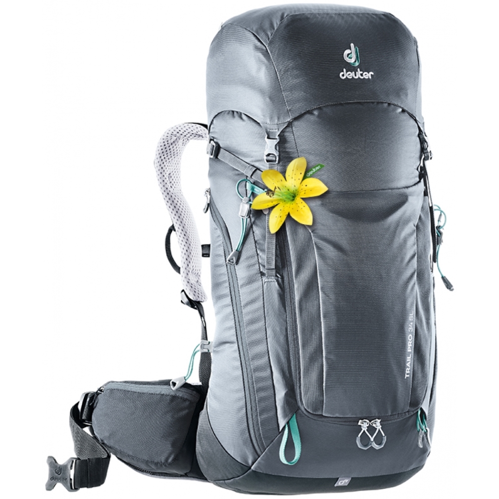deuter 34l
