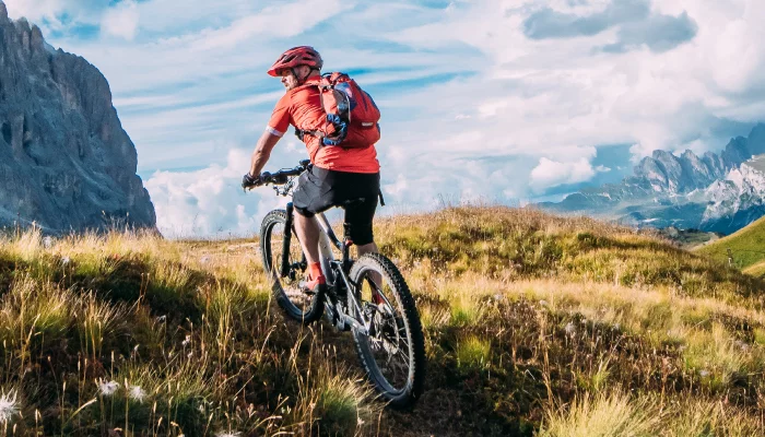 Mountain Bikes / MTB - Special offer, Sale