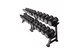 Bestsellers rack and Dumbbell Sets