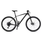 Mountain Bike 4EVER Horizzont 29” – 2025