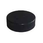 Hockey Puck Lion SENIOR
