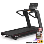 Treadmill inSPORTline Gardian G10