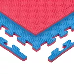Tatami Puzzle Mat inSPORTline Sazegul 100 x 100 x 2 cm - červeno-modrá, vzor 5 proužků