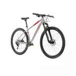 Mountain Bike Kross Level 4.0 29” Gen 007 - šedá / červená / lesk