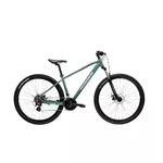 Mountain Bike Kross Hexagon 2.0 29” Gen 008 - zelená / stříbrná / lesk