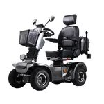 Four-Wheel Electric Scooter inSPORTline Thodor - Grey