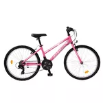 Junior Bike Matrix Garden 24” – 2024 - Pink