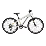 Junior Bike Kross Dust JR 1.0 24” Gen 006 - šedá/černá/lesk