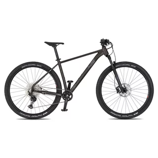 Mountain Bike 4EVER Prodigy Race 29” – 2026 - black/hologram