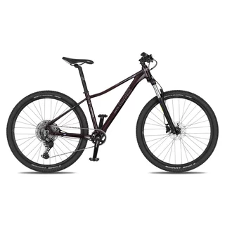 Women’s Mountain Bike 4EVER Frontbee Lady 27.5” – 2026 - dark wine/silver