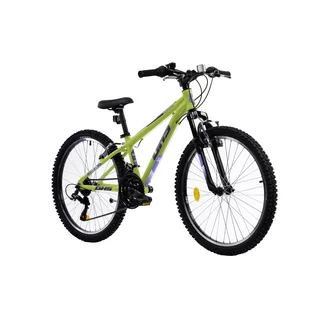 Junior Bike DHS Teranna 24023 24” – 2025 - Green