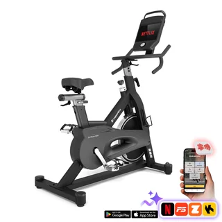Exercise Bike inSPORTline ZenRoute 1200