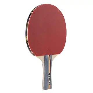 Table Tennis Paddle Joola Team School