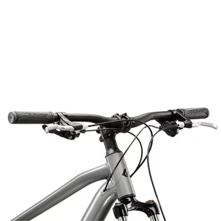 Mountain Bike Kross Hexagon 3.0 29” Gen 008 - šedá / námořnická modrá / lesk