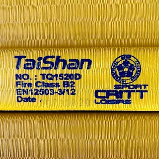 Judo Mat Taishan 200 x 100 x 5 cm Yellow