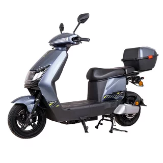 Electric Scooter W-TEC Raike II 10” - Grey-Black