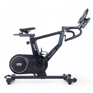 Exercise Bike inSPORTline ZenRoute 250