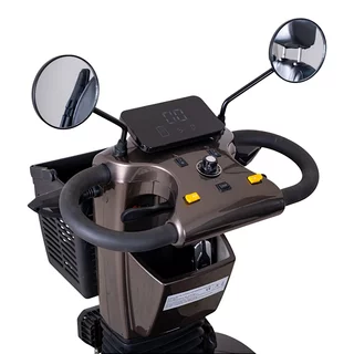 Four-Wheel Electric Scooter inSPORTline Thodor - Brown