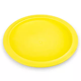 Disc Golf Flying Disc inSPORTline Driver